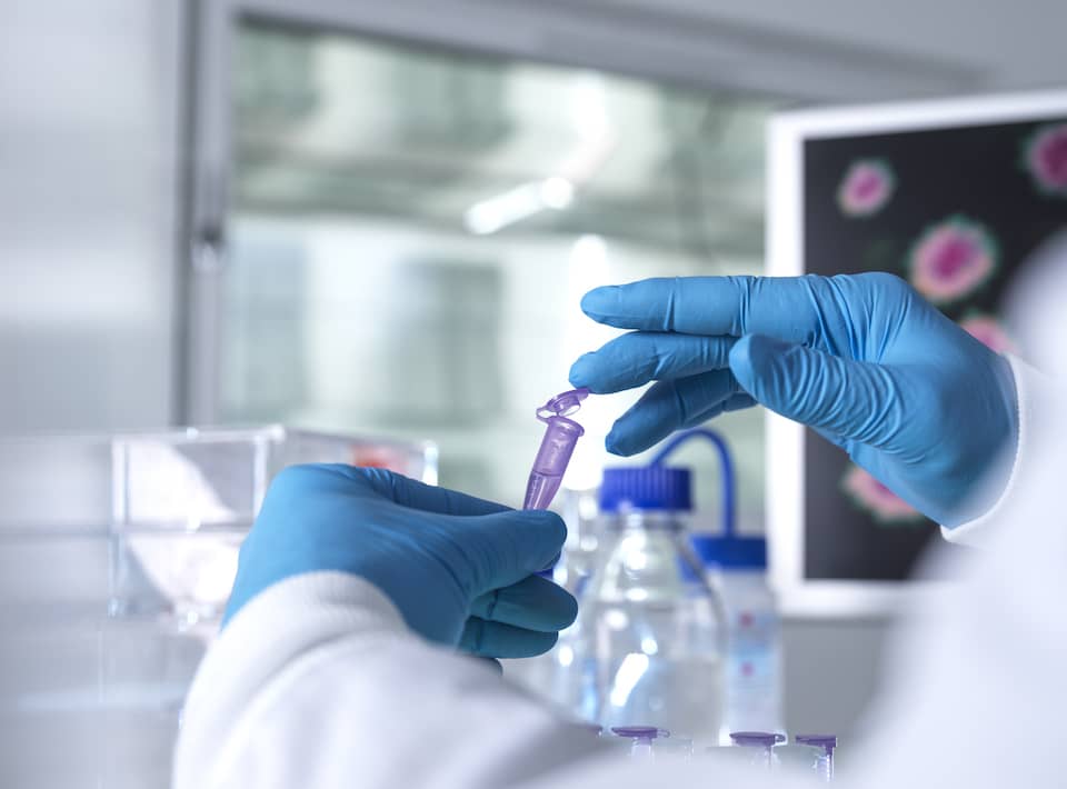 Dr. Dennis Kim joins the NarangLab as a Research Scientist