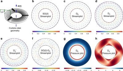 Highlights of our recent work on electron hydrodynamics in anisotropic quantum materials.