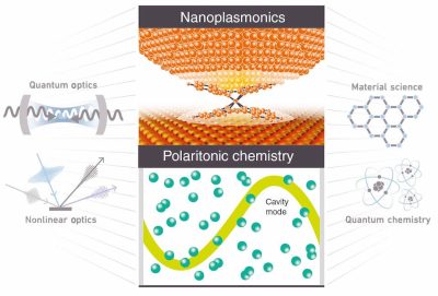 Review article in Nanophotonics on Strong-coupling in Quantum Photonics and Quantum Chemistry