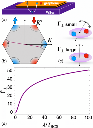 Stabilizing Fluctuating Spin-Triplet Superconductivity in Graphene via Induced Spin-Orbit Coupling