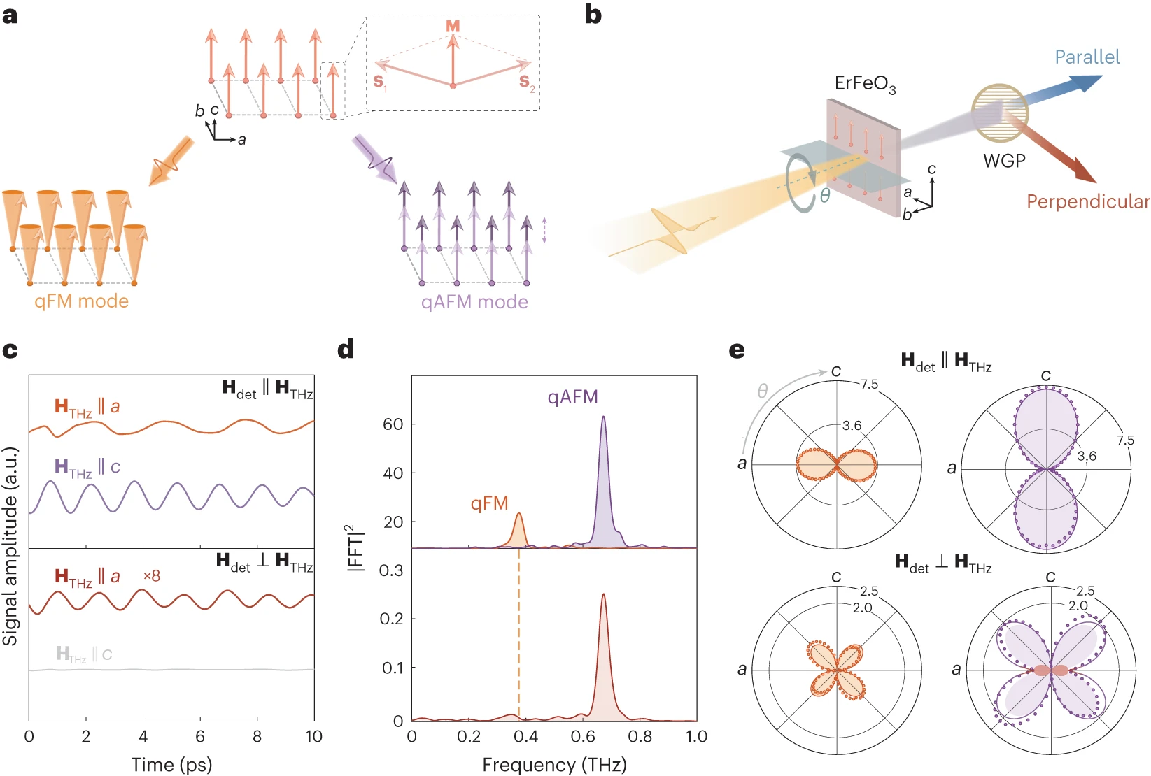 Terahertz-field-driven magnon upconversion in an antiferromagnet