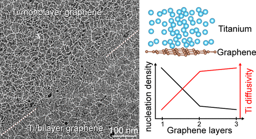 The Morphology and Interface Structure of Titanium on Graphene