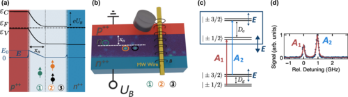Quantum-enhanced electric field mapping within semiconductor devices