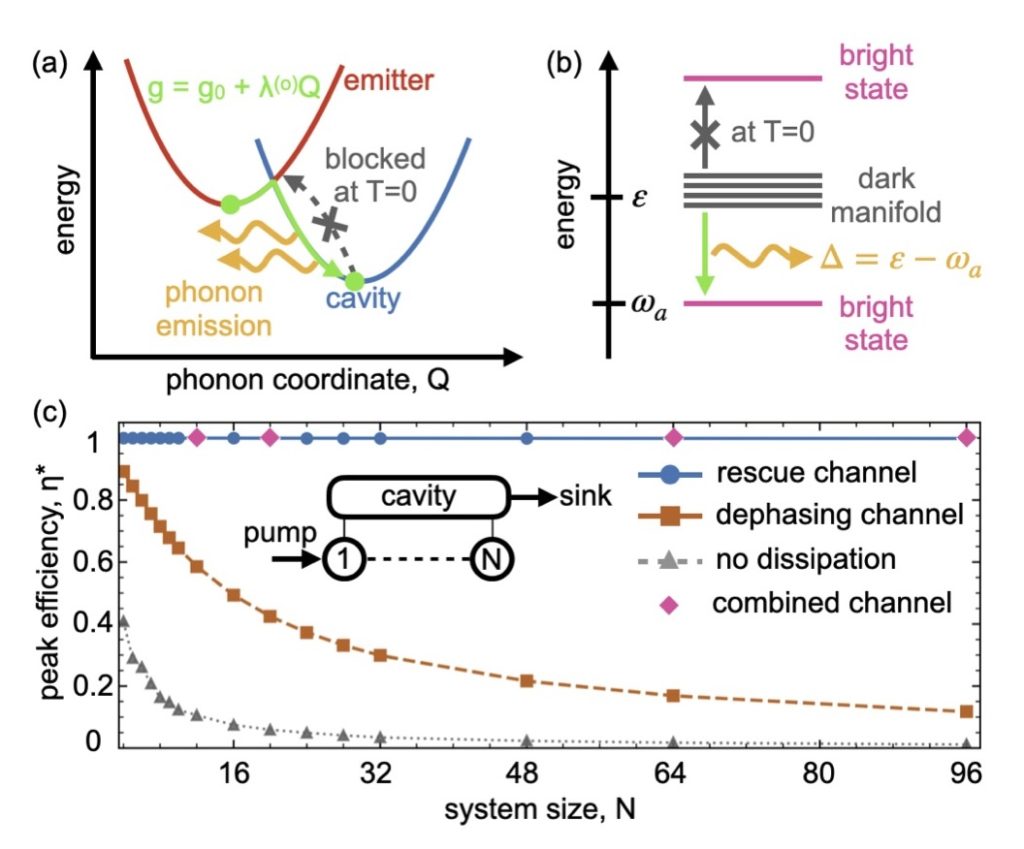 figure from Unidirectional Dark-to-Bright Rescue in Cavity-Coupled Quantum Transport