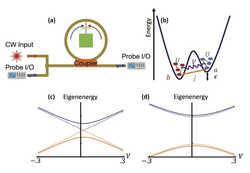 Probing time-reversal-symmetry breaking using a nonlinear superconducting ring resonator