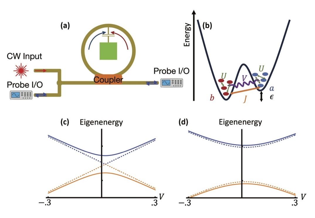 Probing time-reversal-symmetry breaking using a nonlinear superconducting ring resonator