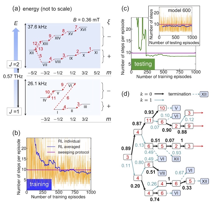Molecular quantum control algorithm design by reinforcement learning